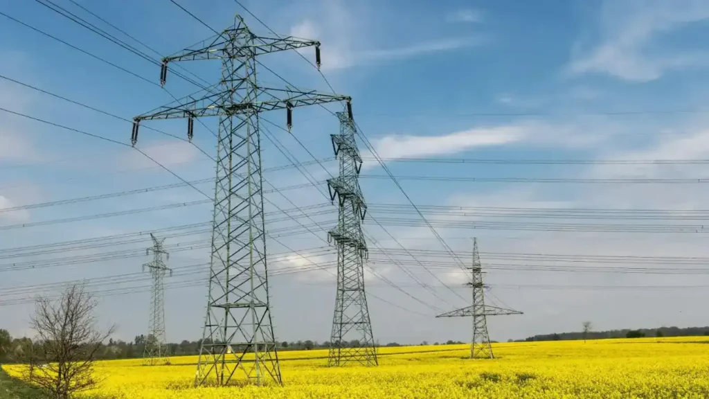 alt="Interviu Corneliu Bodea: Trebuie alocate rapid resurse în oameni dacă vrem banii din Green Deal."